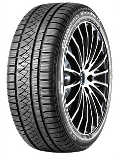 GTRadialChampiroWinterProHP