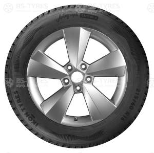 Ikon (Nokian Tyres) Autograph Snow C3 225/75 R16 121R