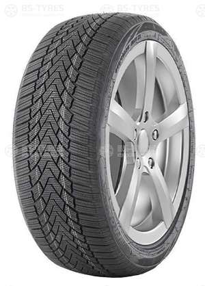 FronWay Icemaster I 245/50 R19 105H